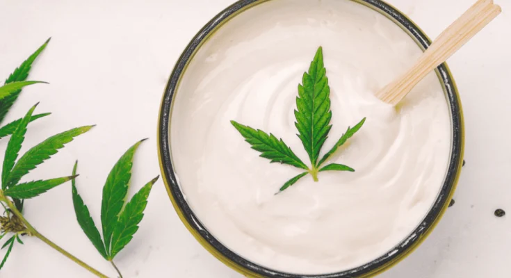 CBD Creams