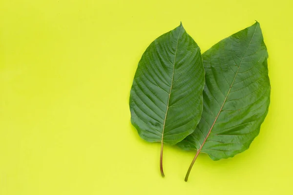 Kratom leaves